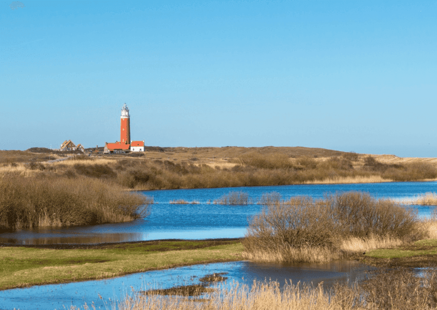 accommodatie texel