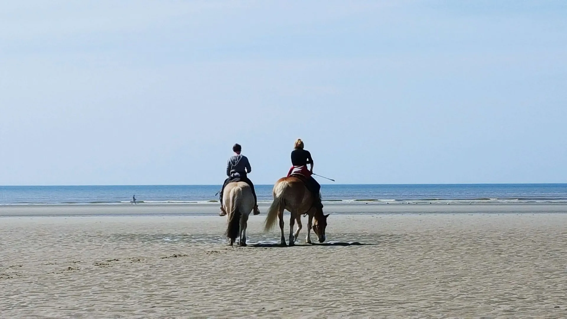 paardrijden op texel