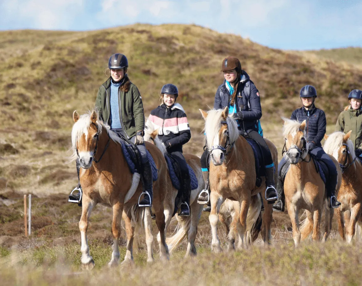 paardrijden op texel