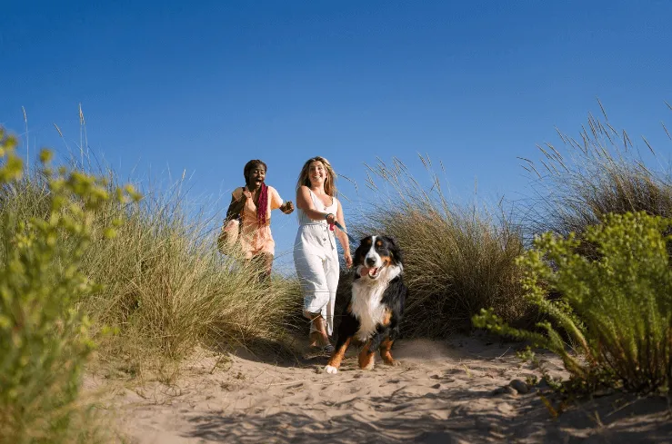 overnachten op texel