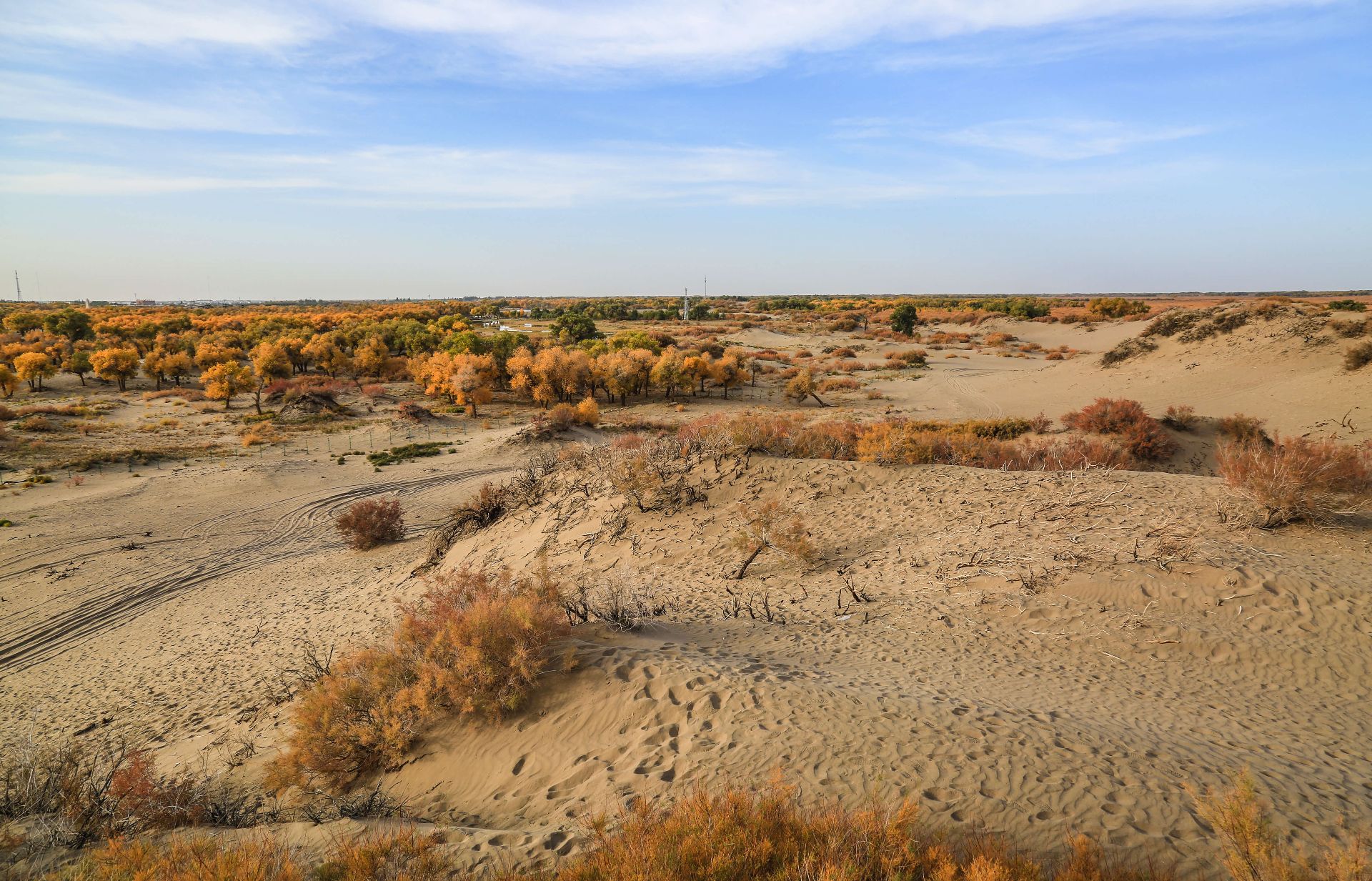 Herfstvakantie op Texel: strandwandeling langs de Noordzee Herfstvakantie op Texel: strandwandeling langs de Noordzee