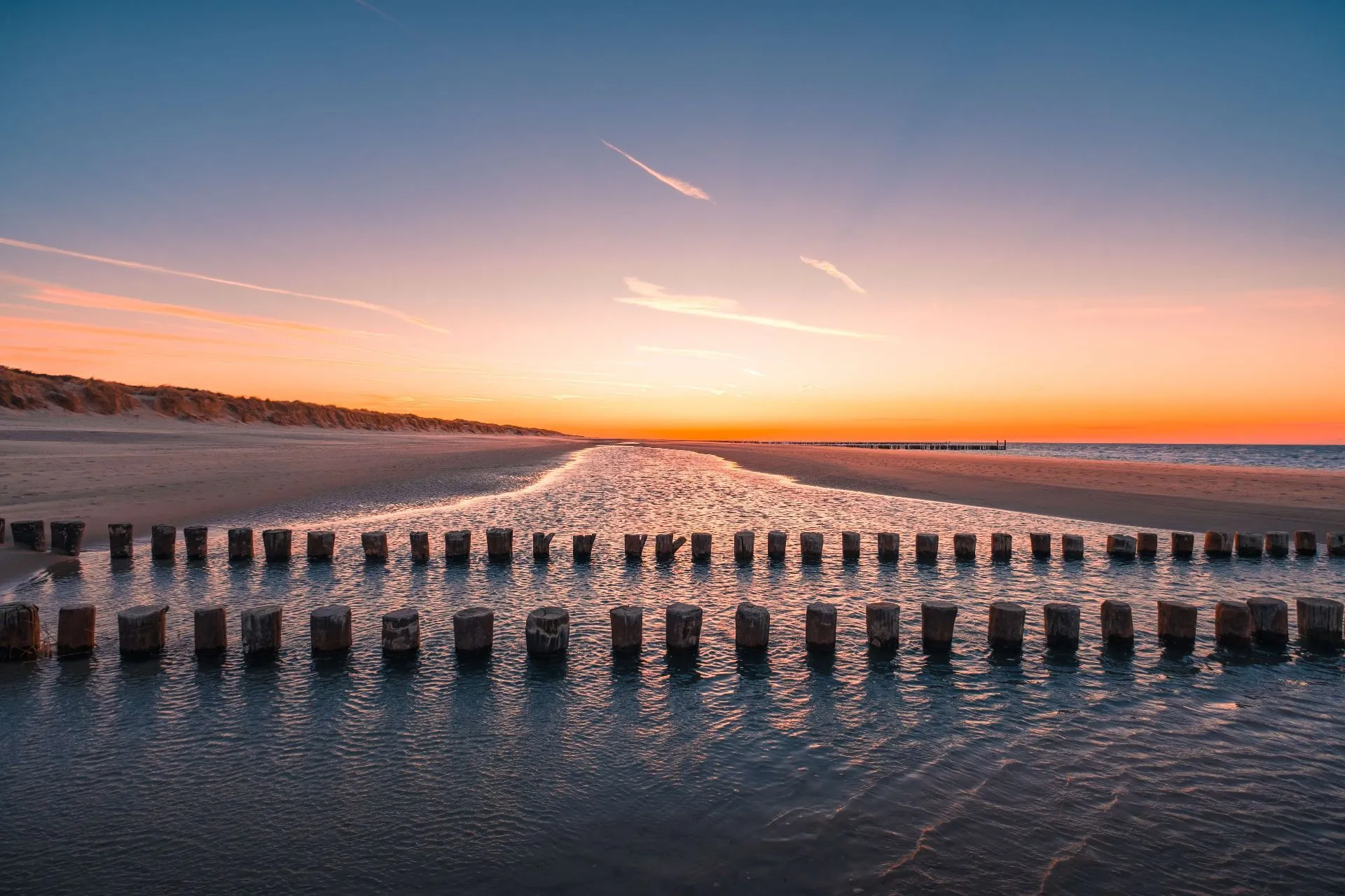 beautiful-view-logs-wood-water-beach-captured-oostkapelle-netherlands (1).jpg