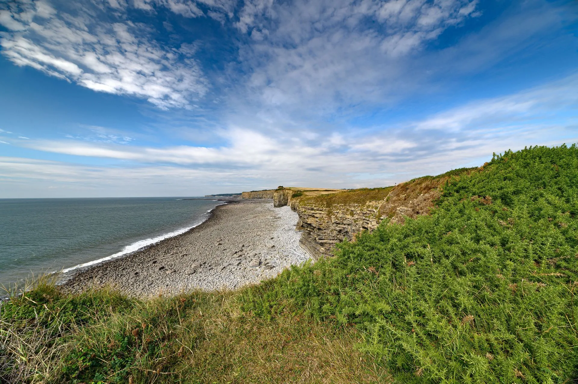 top-view-rocky-coastline (1).jpg